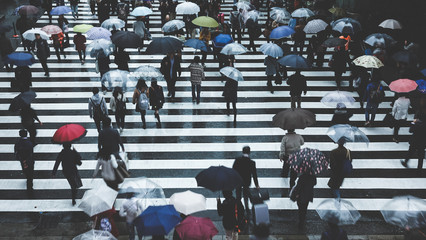 傘を差して横断歩道を渡る人々