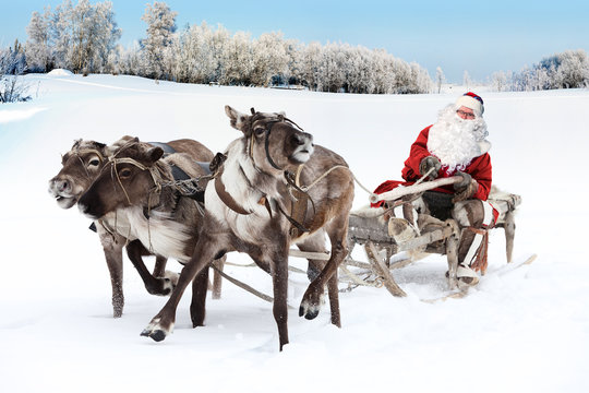 Santa Claus and his reindeer in forest