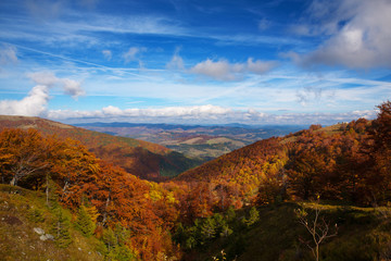 Bright Autumn sky and yellow and red beech forest in the Carpathian Mountains in the golden autumn season.