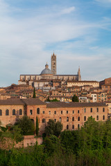 Fototapeta premium Siena charming medieval town in Italy