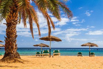 Deck chairs under umbrellas and palm trees on a tropical beach