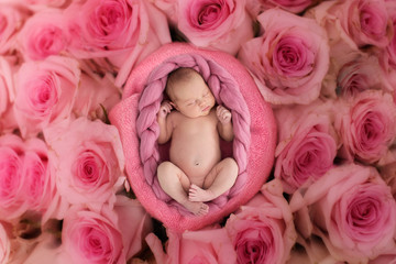 sleeping newborn girl on gentle pink background with roses flowers, close-up © natalialeb