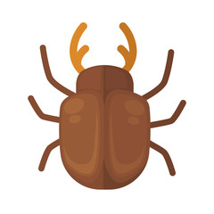 cockchafer. Icon of bright small insect