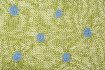 knitted green mohair fabric with dots