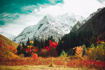 Panele Szklane  Jesienny krajobraz górski.