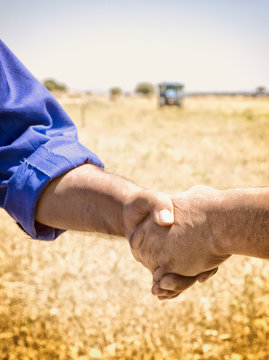 Saludo negocio y apret&oacute;n de manos