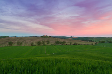 Obraz premium Typical Tuscany landscape springtime at sunset in Italy