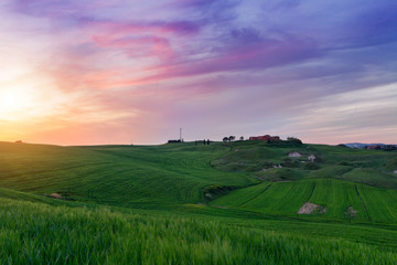 Fototapeta premium Typical Tuscany landscape springtime at sunset in Italy