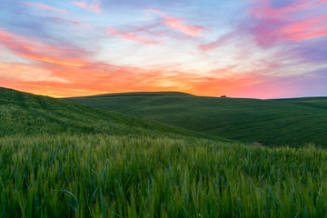 Fototapeta na wymiar Typical Tuscany landscape springtime at sunset in Italy
