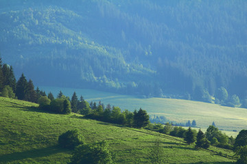 Rural sunny landscape with forest. Landscape in the Slovak Republic meadows and forests