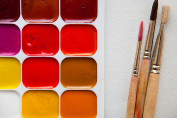 Watercolors and old brushes isolated on the white background, cl