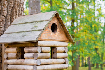 Wooden birdhouse in a beautiful autumn Park