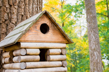 Wooden birdhouse in a beautiful autumn Park