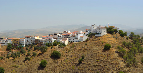 View of the hillside town of Alora Andalucia Spain  © harlequin9