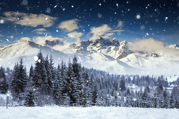 Fototapeta na wymiar Beautiful winter landscape with heavy blizzard. Christmas concept.