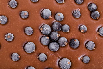 Delicious chocolate cake with blueberries.