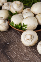 edible raw mushrooms