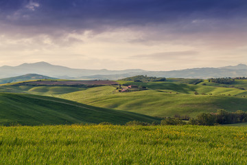 Typical Tuscany landscape springtime at sunrise in Italy