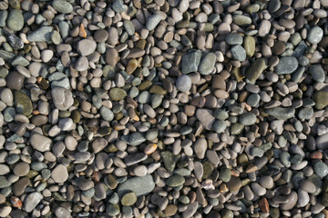 abstract background from the sea pebble