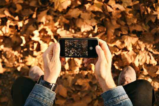 Man wearing denim jacket takes a picture of autumn leaves on his smartphone, close up shot