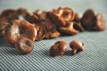 A small pile of raw forest mushrooms ready to be prepared on a table covered with a tablecloth