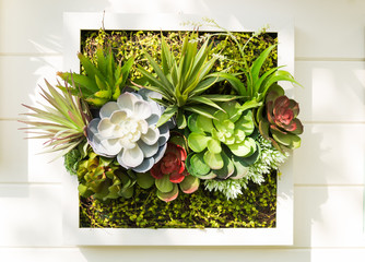 Decorated wall vertical garden, Background.