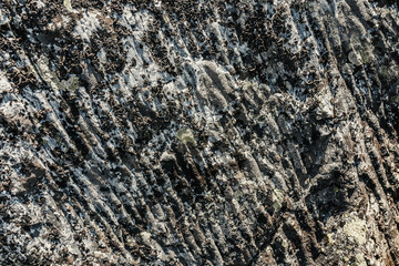 Abstract textured background of stone with lichen with furrows of ancient glaciers