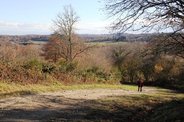automne en Auvergne