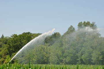 Water sprinkler installation in a field
