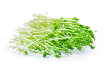 Snow pea sprouts on white background