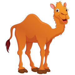 Vector Illustration Of Cartoon Camel