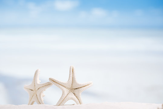 white starfish with ocean, boat, white sand beach, sky and seasc