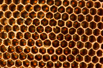 close up honeycomb pattern
