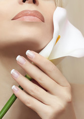 Классический французский маникюр на женской руке с белым цветком.