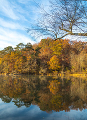 Indian summer at Chattahoochee river