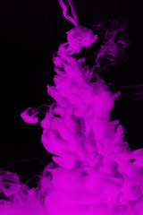 Fototapeta premium purple dye in water 