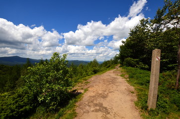 dwernik kamień © Tomasz