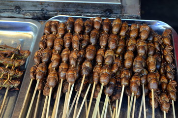 Chinese street food in the Hutongs of Beijing Wangfujing Street roasted silkworm pupae