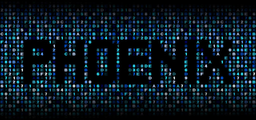 Phoenix text on hex code illustration