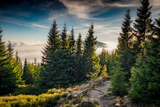 mountain roads collection