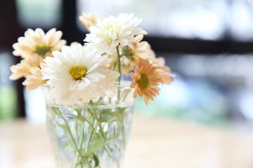 daisy flower in jar