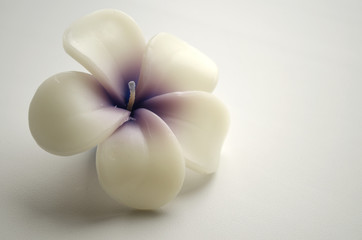 decorative candle in the form of a white flower on a light background

