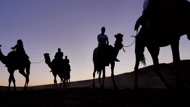 Tourists with camels in the Sahara desert - Morocco