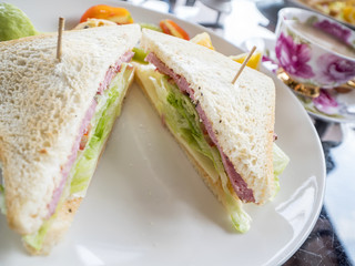 Closeup club sandwich on white dish 2