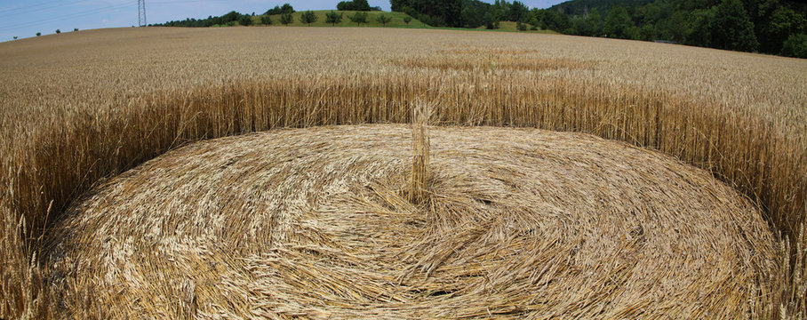Crop circle