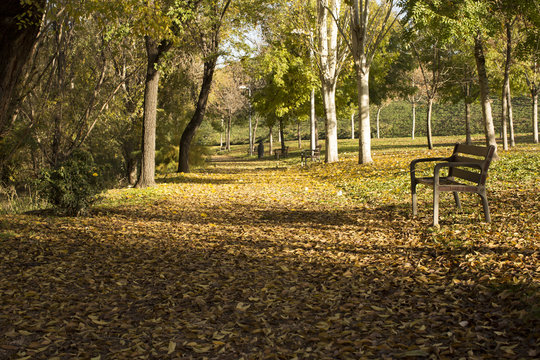 Parque Lineal del Manzanares