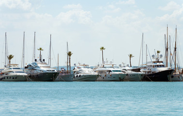 Fototapeta premium Many luxury yachts in the harbor.