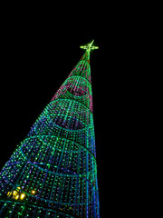 Christmas tree at night in the city