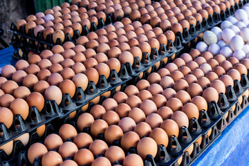 A lot of egg in black plastic pallets display for sale in local fresh food market, Thailand