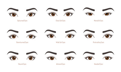 Various types of woman eyes. Set of vector eye shapes. Collection of illustrations with captions. Makeup type infographic. Different - close, protruding, hooded, almond, upturned on white background. - obrazy, fototapety, plakaty